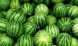 qa吃瓜群,网络社交新现象背后的故事