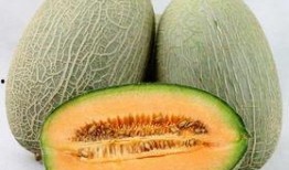 天气冷吃哈密瓜的说说,哈密瓜甜蜜来袭——寒冷天气中的甜蜜选择”