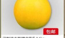 幼儿吃黄蜜瓜,黄蜜瓜带来的美味体验