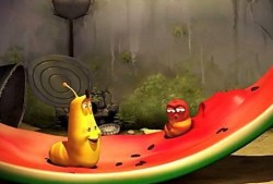 西瓜幼瓜被虫子吃,守护夏日甜蜜果实