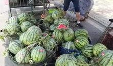 长垣吃瓜事件东关,吃瓜事件背后的社区冲突与反思