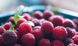 吃杨梅后可以吃秋瓜吗,食用搭配的适宜性探讨