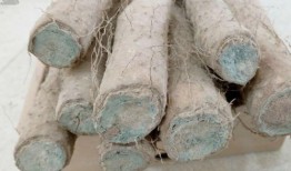 发霉的瓜切掉吃,巧手处理发霉瓜果的秘诀