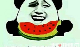 吃瓜专用图瓜子,品味人生百态——吃瓜专用图瓜子之旅