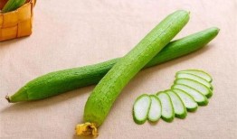 什么瓜可以每天吃,揭秘日常饮食中的健康选择