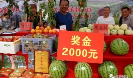 吃瓜开幕,揭秘娱乐圈幕后风云