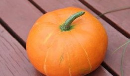 秋天吃葫芦瓜好吗,葫芦瓜的食疗益处与食用建议