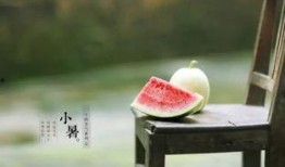 形容吃瓜的古诗,古诗词中的吃瓜图景
