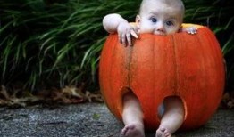 瓜蛆可以吃吗,能否成为餐桌上的美味佳肴？