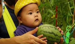 吃瓜故事长,揭秘那些令人捧腹的吃瓜故事