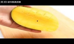 布蕾bury吃瓜,瓜田里的时尚瓜王