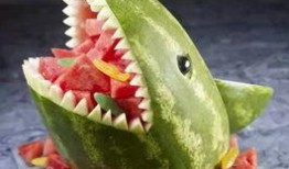 鲨鱼老婆吃瓜,鲨鱼老婆的神秘吃瓜之谜