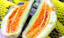 品如吃瓜,揭秘娱乐圈背后的那些事儿