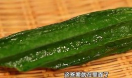 豆子吃瓜链接,揭秘豆子与瓜的奇妙缘分