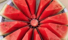 甘肃城市吃瓜,探寻丝绸之路上的甜蜜之旅