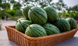 吃瓜套路真西瓜,真西瓜背后的秘密大公开