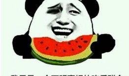 吃瓜群众不发言,揭秘不发言背后的真相