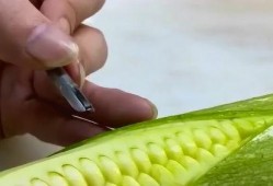 家里吃白瓜,清甜可口，营养丰富的夏日美食