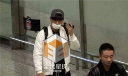 陈陈吃瓜群众,揭秘网络时代的围观文化