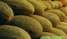 吃哈密瓜高钾血症,高钾血症的潜在威胁