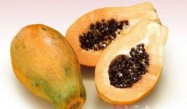 孕妇可以吃树胶瓜吗,树胶瓜的营养与安全指南