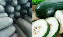 啊水吃瓜,揭秘娱乐圈幕后故事