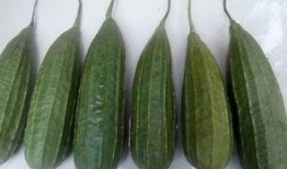 为谁吃瓜,网络舆论背后的真相与反思