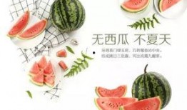 中交集团吃瓜,一场吃瓜群众的狂欢盛宴