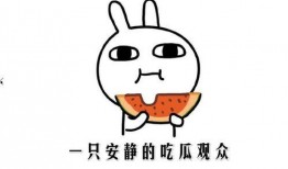 形容吃瓜的群众,揭秘吃瓜群众的热情与智慧