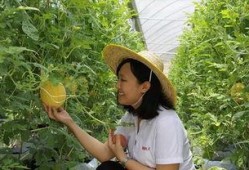 青州的吃瓜事件,一场引发热议的街头冲突揭秘