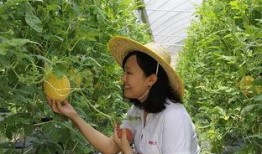 青州的吃瓜事件,一场引发热议的街头冲突揭秘