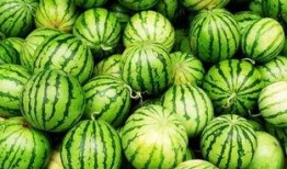 吃超级大瓜的感受,一场视觉与心理的双重盛宴