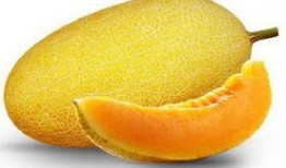 哺乳吃哈密瓜好处,这些好处让你惊喜不已