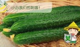夏天吃瓜最佳姿势,瓜果飘香——揭秘夏天吃瓜最佳姿势