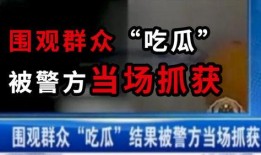 吃瓜沙雕小说,沙雕小说里的爆笑日常