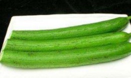 哺乳期吃茭瓜,营养与健康的双重保障