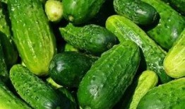 夏天吃瓜才解渴,吃瓜解渴，清凉一夏