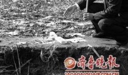 丰县吃瓜事件后续,真相与反思