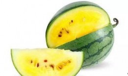 武陟特色吃瓜地点,探寻特色吃瓜胜地攻略