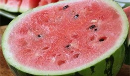 猪吃麒麟瓜,探寻猪与神秘瓜果的奇妙邂逅