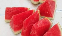 甘肃城市吃瓜,探寻丝绸之路上的甜蜜之旅