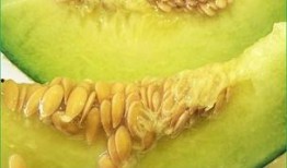 怀孕天天吃哈密瓜好吗,营养与健康的双重守护