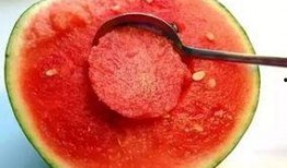 周周吃瓜酱,揭秘娱乐圈那些不为人知的幕后故事