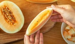 口播吃瓜,跟随口播吃瓜，探寻明星幕后故事