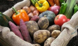 淮工食堂吃瓜,瓜果飘香，美食共享的校园时光