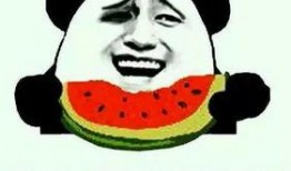 吃瓜了套路,吃瓜群众带你领略明星幕后故事