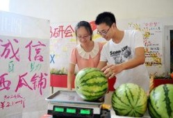 吃瓜路人扬州大学