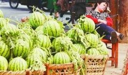 昆山世贸吃瓜事件,一场引发社会热议的“瓜”事