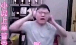 吃瓜大人来了视频,揭秘娱乐圈幕后故事