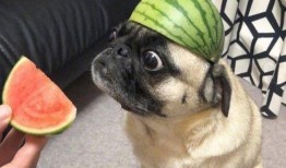 吃瓜就要用小号,揭秘“吃瓜群众”背后的神秘小号世界